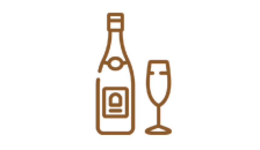 шампанское и игристые вина11